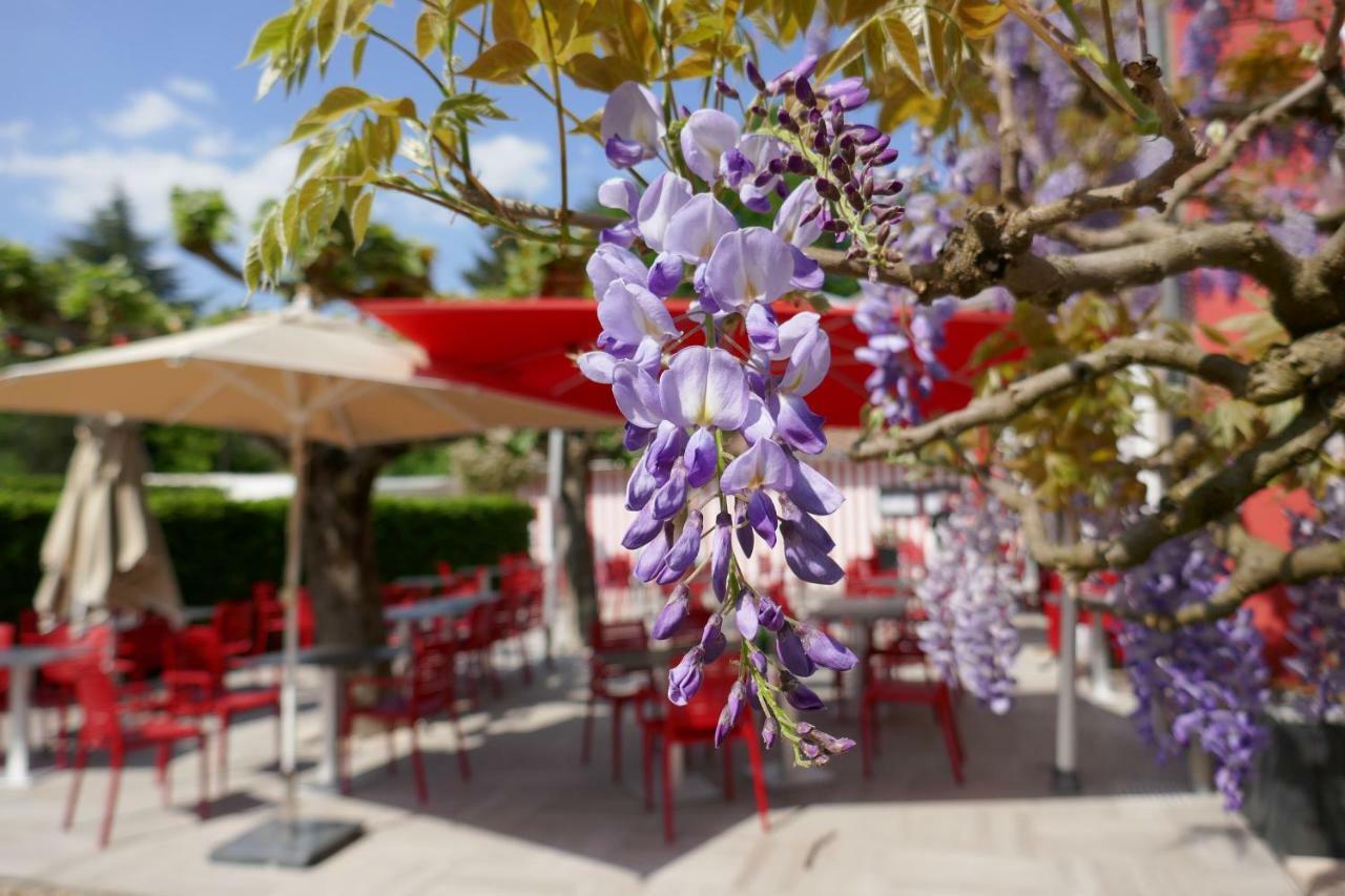 Hotel Les Maritonnes Parc & Vignoble Romanèche-Thorins Zewnętrze zdjęcie